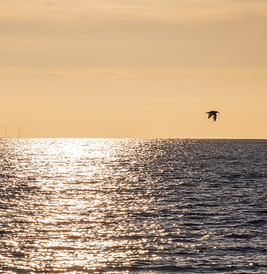 about-us-full-image-1